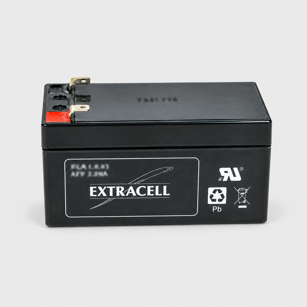 Batteria 12V